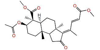 Jaspiferoic acid B dimethyl ester
